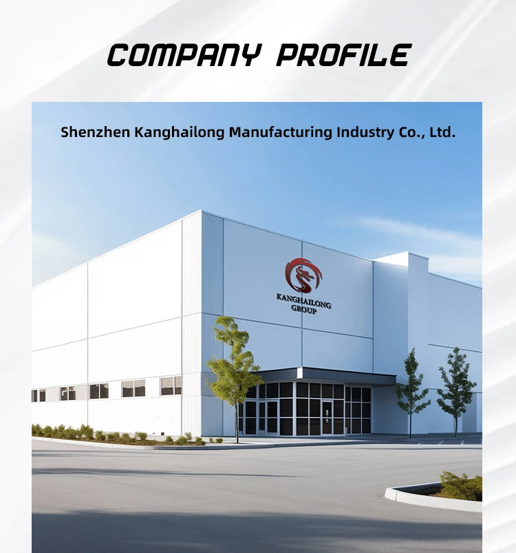Company overview