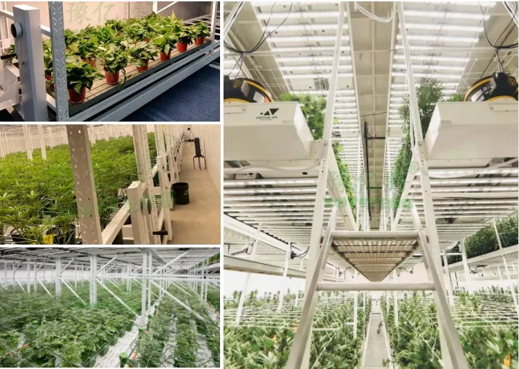 Modular Cultivation Racks Indoor Plants Rack Hydroponic Mobile Grow Rack Vertical System - Buy ...