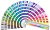 Tutto Pantone