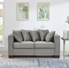 Grey + Velvet + 2 Seat