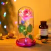 Rosa - Rosso Rosa