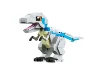 Raptor