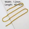 Chain5