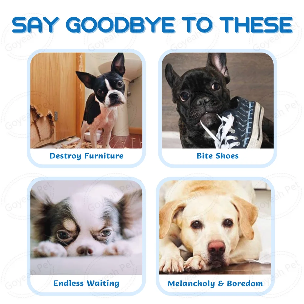 2023 New 3 In 1 Pet Slow Feeder Interactive Dog Puzzle Toy Dog Nail