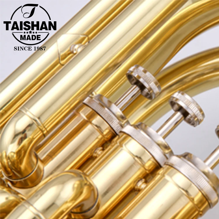 Bb Tone Gold Lacquer Tuba with 2 Mouthpieces