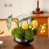 Colección Qingyun