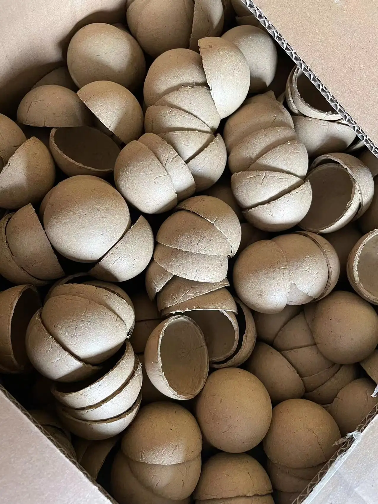 Sale Easter Coconut Display Shell Fireworks For - Buy Valentine's Day ...