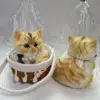 20724-Yellow Tabby Cat Squishy