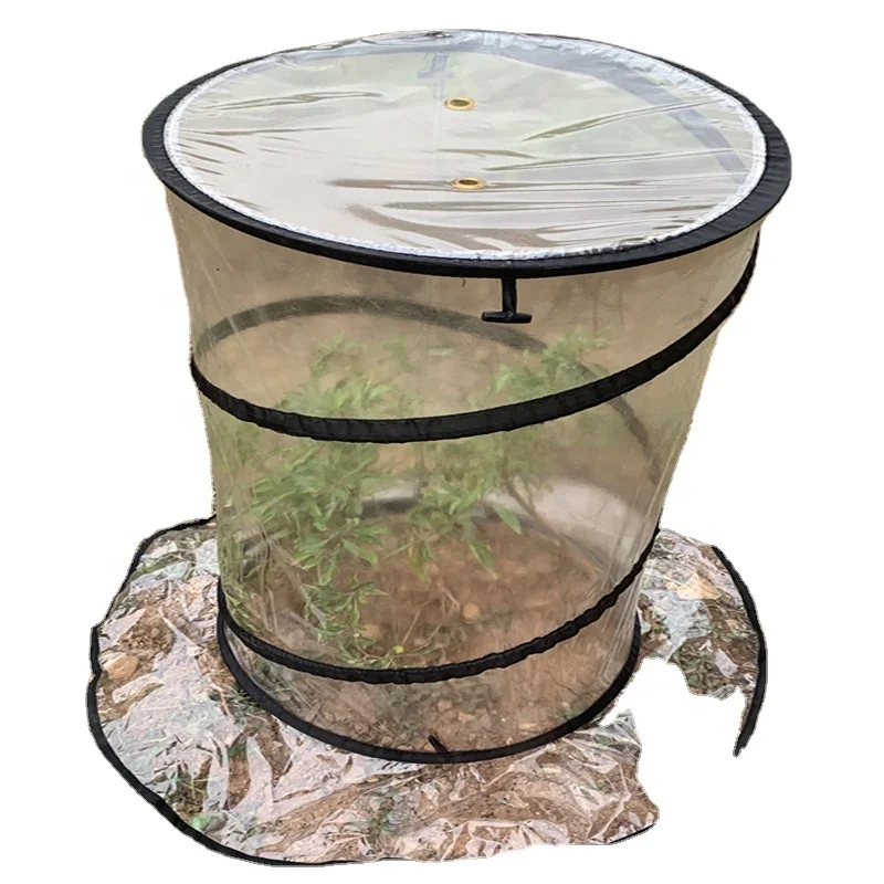 Используемые Мини садовые теплицы для овощей