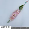 Oeil d'hirondelle Midori (rose)