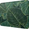 11l x 8,5w pouces - feuilles vertes