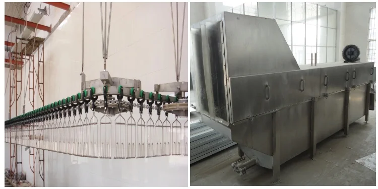 High-efficiency poultry slaughtering line, processing 1,000-3,000 poultry per hour