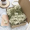 Flor blanca con tallo verde-50 piezas en caja