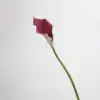 Violet - 63CM