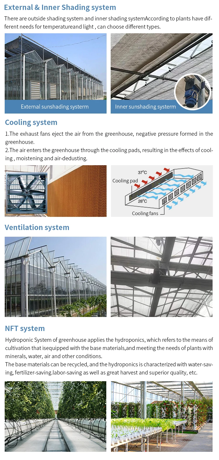 Modern Venlo Polycarbonate Glass Farming Greenhouse Multi-span ...