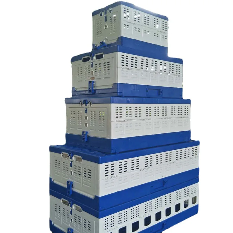 Portable Pigeon Transport Crate Foldable Pigeon Breeding Cage Training Box for Pigeon