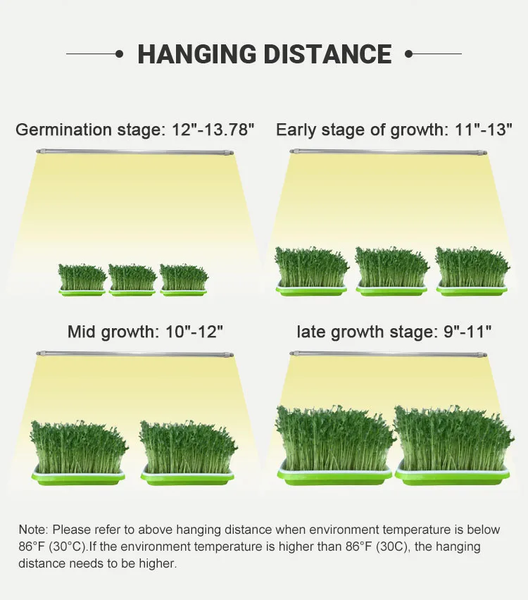 t8 distance from plants