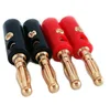 Mâle rouge avec plaqué or