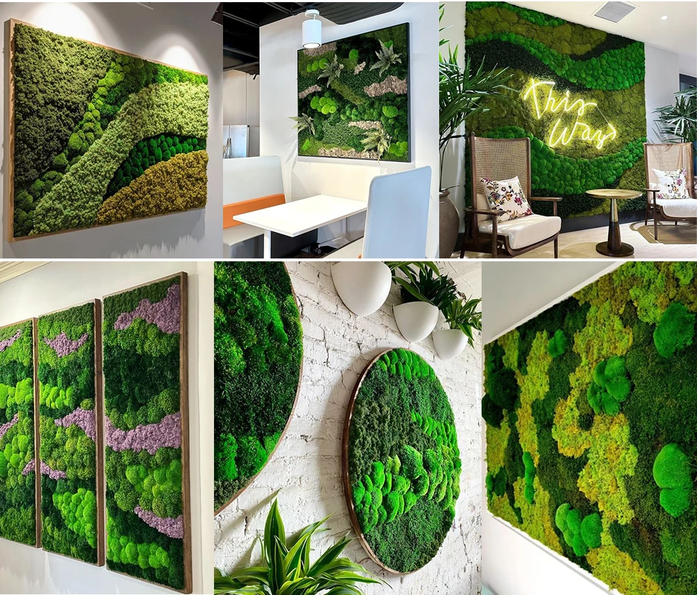 Indoor Moss Is A Fuss-Free Way To Add A Natural Element To Home Decor