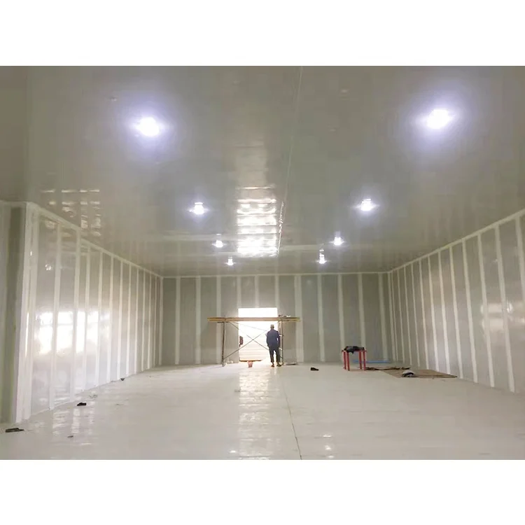 Refrigerator Project for Keeping Fruits and Vegetables Fresh Fruit Cold Storage Room Fruit and Vegetable Cold Room