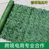 [Color Print] Sweet Potato Leaf Fence