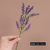 Morado oscuro (una sola rama)