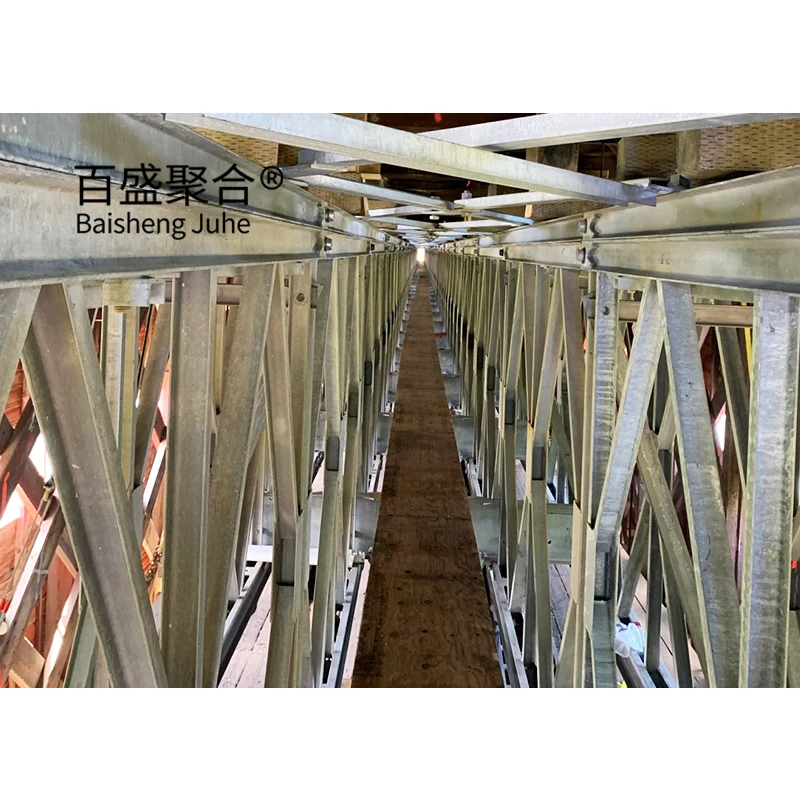 Prefabricated Easy Build Modular Truss Bridge Construction Compact 200 Steel Structures Bailey Suspension Bridge