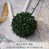 L-Single leek bulb-Dark green