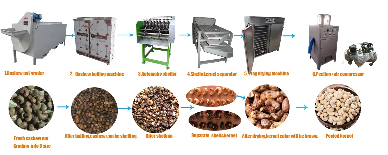 Industire Automatic Cashew Nut Processing Machinery For Shelling