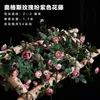 Pinkish-purple Augsburg rose vine, 1.75 meters tall