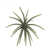 11 verde oliva