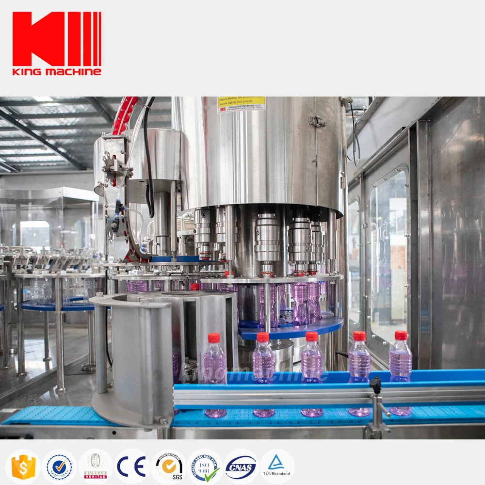 Complete Full Automatic Fresh Fruit Juice Processing Line Drink Production Line Juice Filling Machine