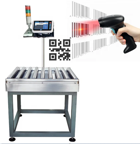 ZDE Low Price Multi Applications Weighing Scale Roller Conveyor Scale Checkweigher