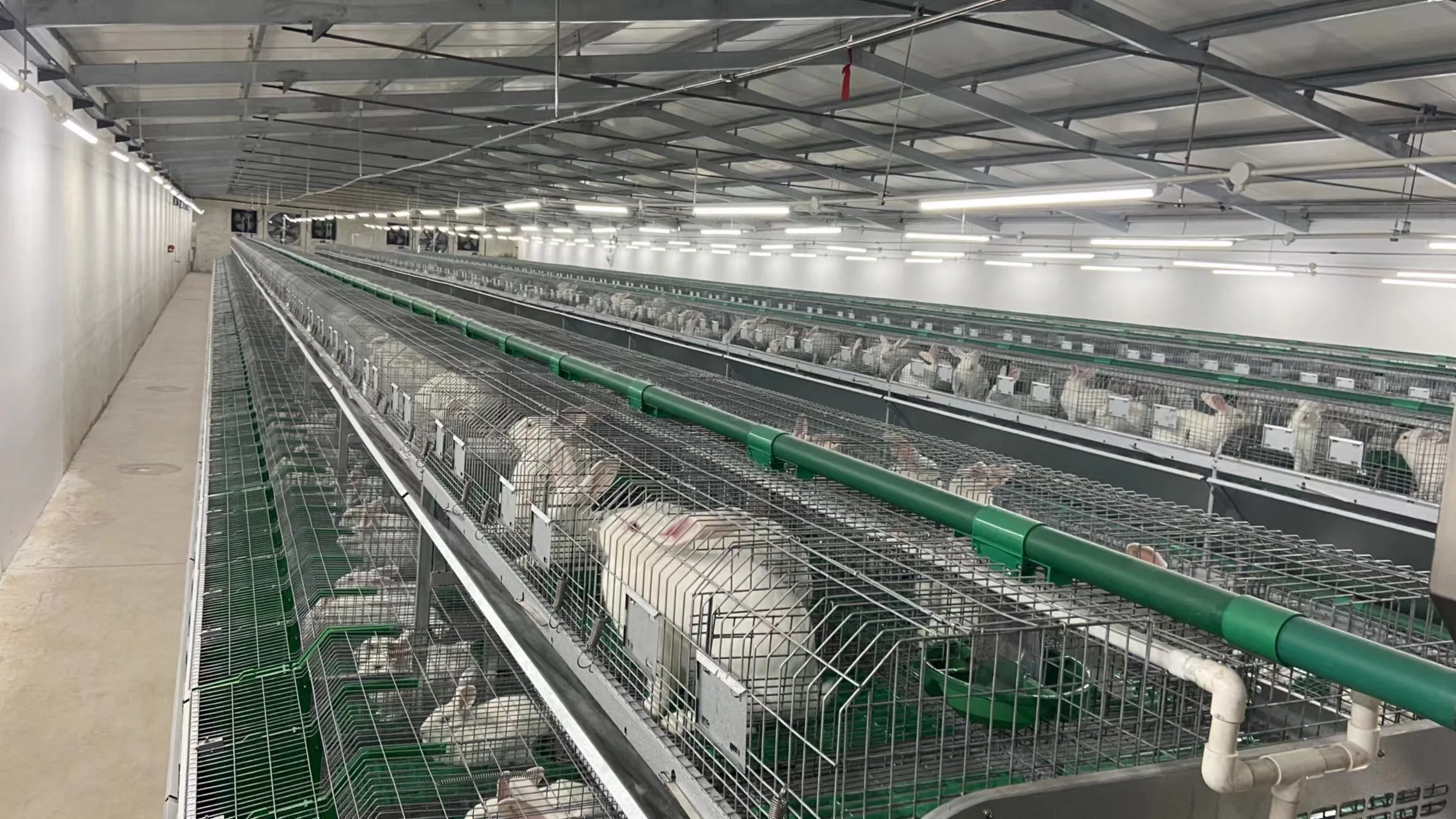 Galvanized Rabbit Farming Meat  Rabbit Cages for Uganda Farms
