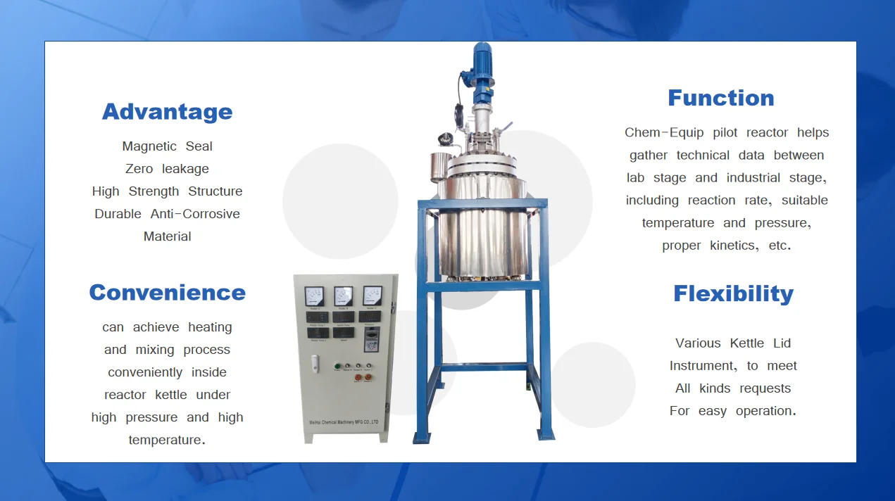Pilot Loop Reactor Pilot Reactor Plasma Reactor with Coil Heating - Automatic