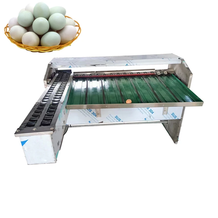 Egg Sorting Grading Machine Machine for Sorting Eggs Egg Grading Machine Price