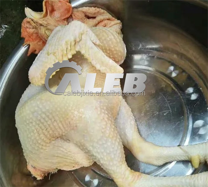 500 Pcs Per Hour Bird Poultry Plucker Machine Chicken Defeather Machine