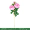 สีม่วงอ่อน