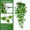 Green Plant Vine 1