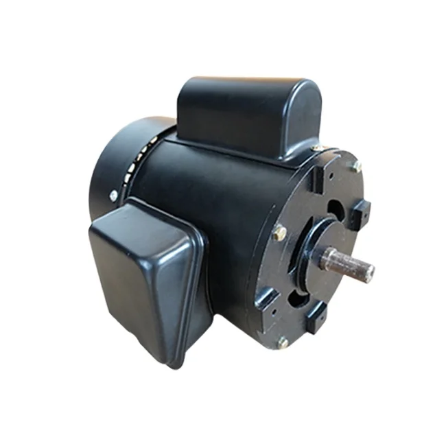 FUWEI Single Head Single Phase Asynchronous Electric Motor for Sale