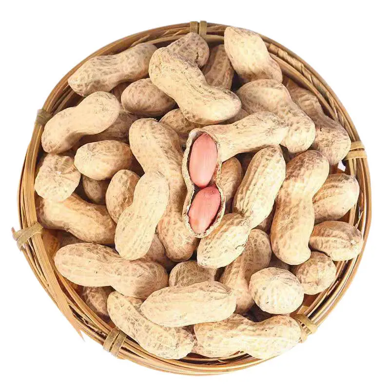 Wholesale Raw Kernel Peanuts High Quality Organic Peanuts In Shell