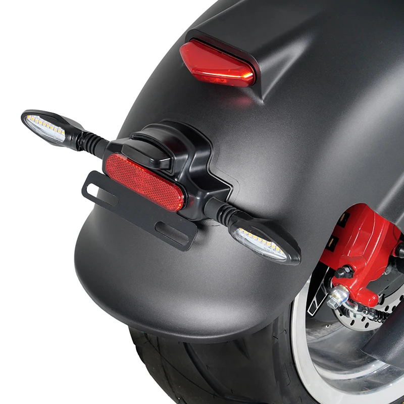 Mangosteen Electric Scooter Chopper Fat Tire Citycoco M1PS knight