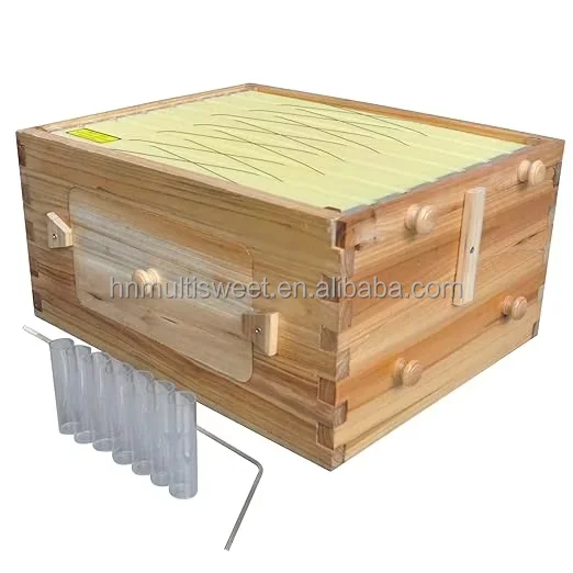 Automatic Beehive Golden Palace Flowing Super Honey with 7PCS Frames