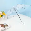 transparente