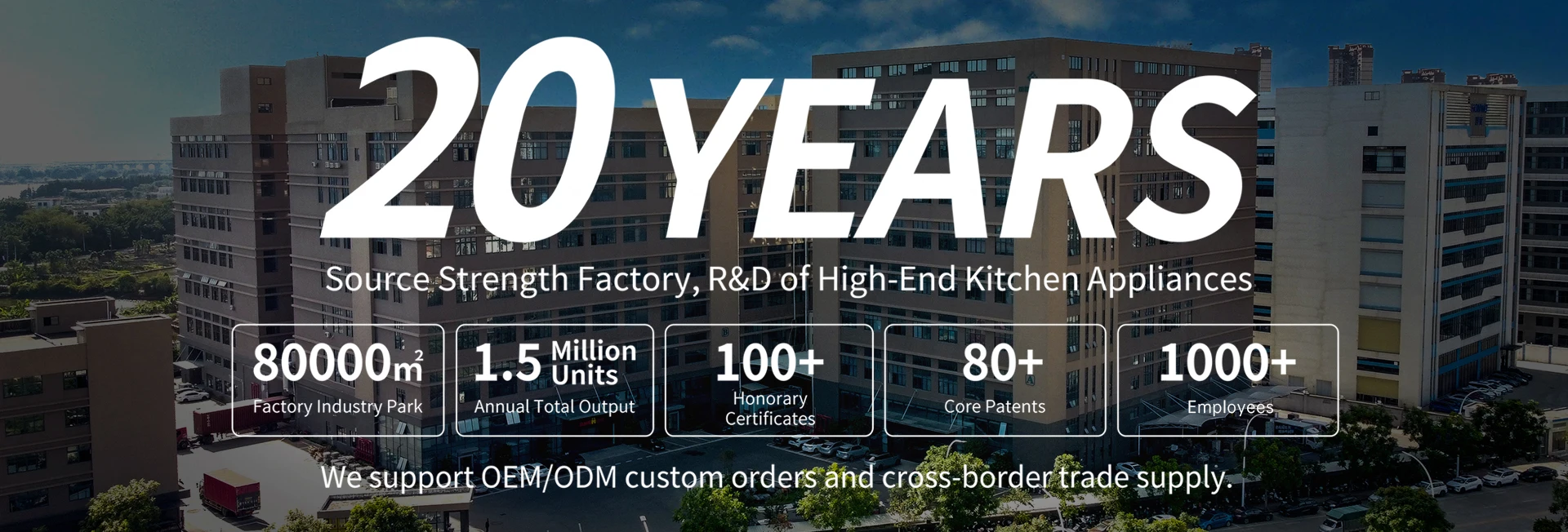 Company overview