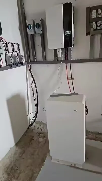 High Quality 51.2V 16Kwh Inverter Phosphate Lithium Battery 11000+ Cycles Floor Install with Wheel Handle CAN Communication Port