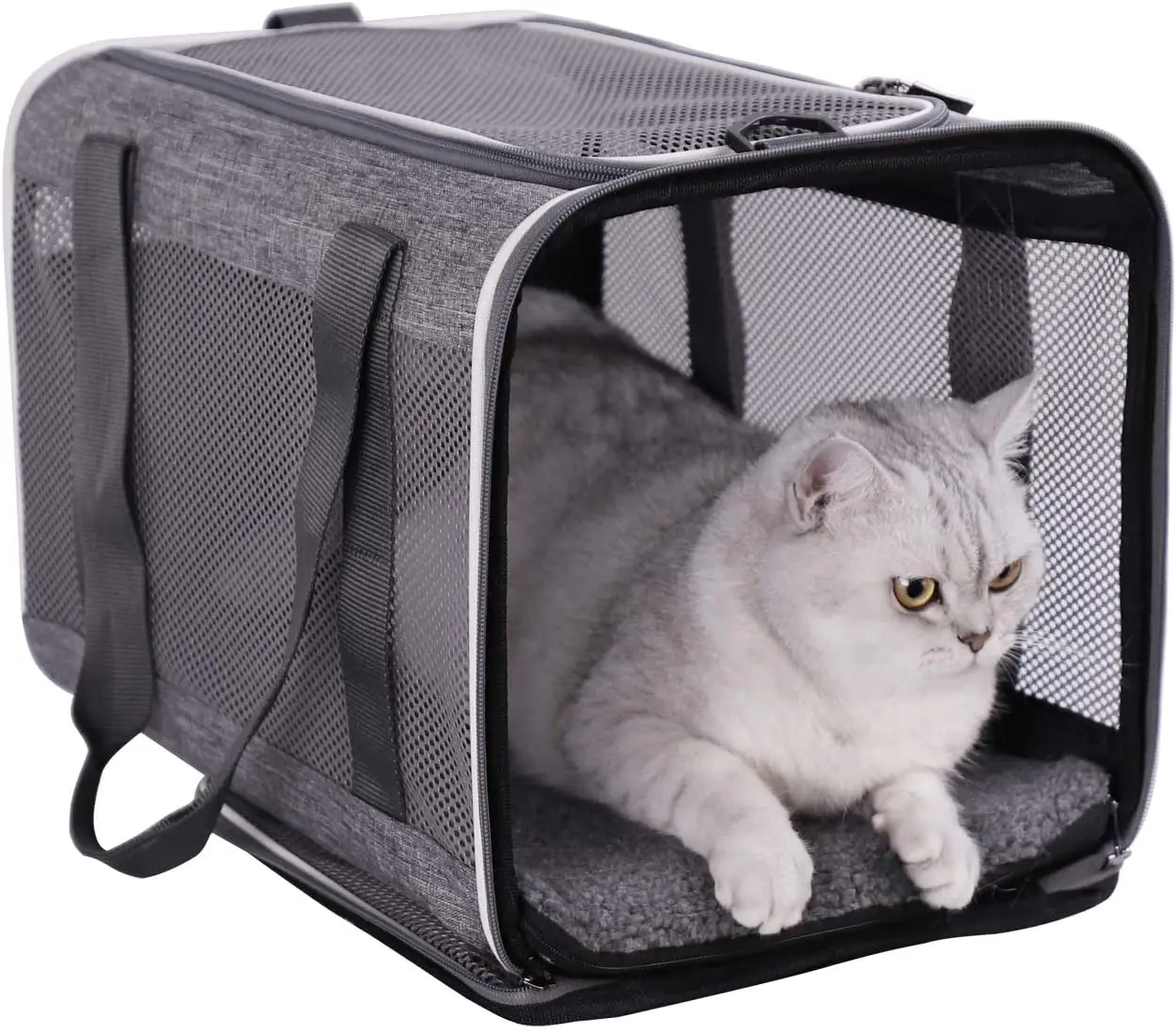 two cat carrier