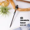 Cancer