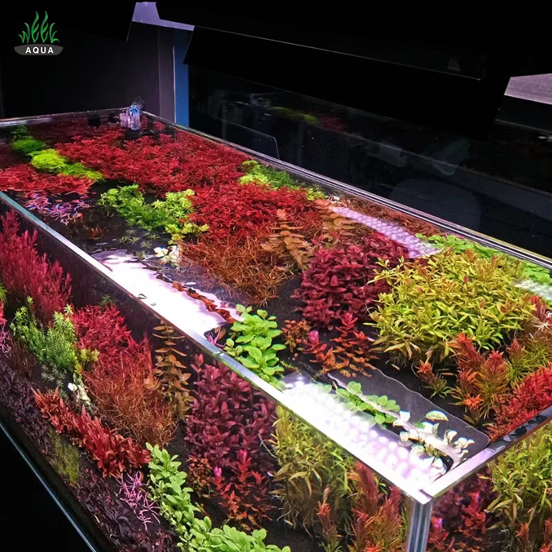 WEEK AQUA LED Aquarium Lights - Smart, Efficient, and Dimmable