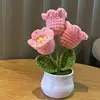 Pink bell lily